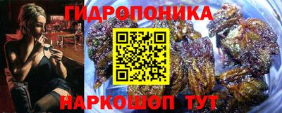 соль ск Гусиноозёрск